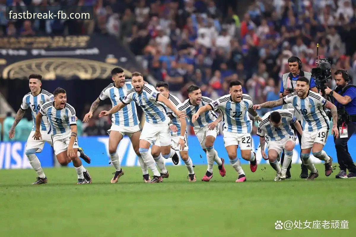 揭秘阿根廷世界杯征程背后的关键变数与观赛新体验